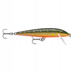 Rapala CountDown 11cm 16g CD11 BTR