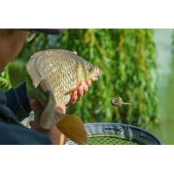 Koszyk Zanętowy Matrix Pellet Feeder Medium 40g Do Nęcenia Pelletem GFR235