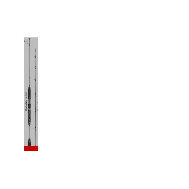 ROBINSON WĘDKA SILURO PRO SPIN 2,70M 50-300G 1SL-SP-270