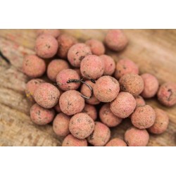 Kulki Zanętowe Spectrum 18mm Kałamarnica & Ośmiornica