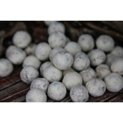 Meus Kulki Zanętowe SPECTRUM Rum & Kokos 18mm