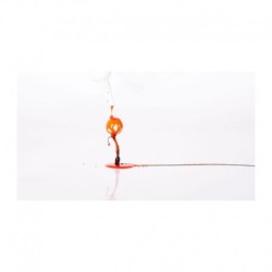 NASH TANGERINE DREAM PLUME JUICE B3591