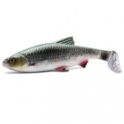 4D RIVER ROACH 18cm 70g Savage Gear Green Silver 63708