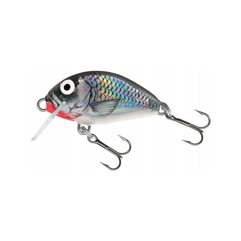 Wobler Salmo QIT010 3 cm 2,5 g