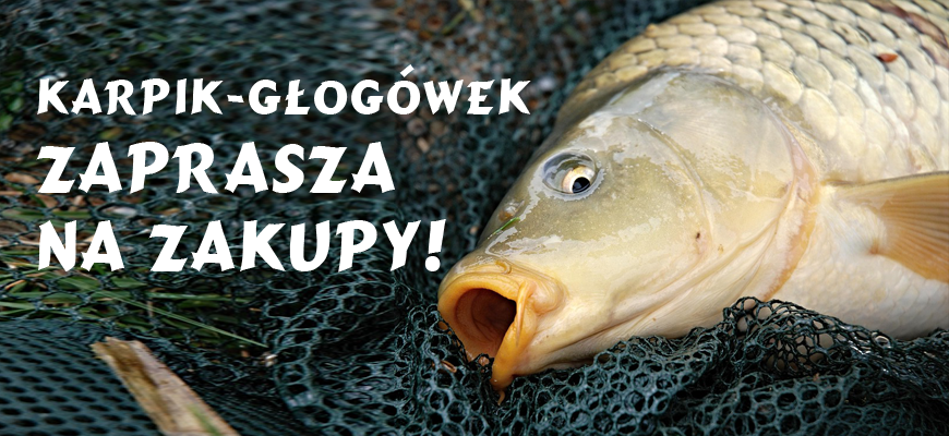 Karpik Głogówek
